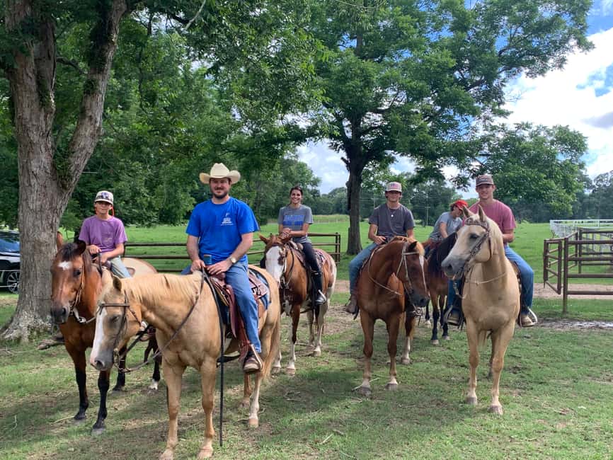 El Limón: Waterfall Horseriding Tour with Lunch - Why El Limón feels like more than a waterfall stop