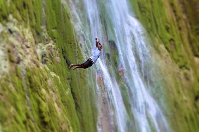 El Limón waterfalls Tour (horse riding & swimming) with lunch - Walking the forest and the Limon River: cacao, coffee, and coconut stops