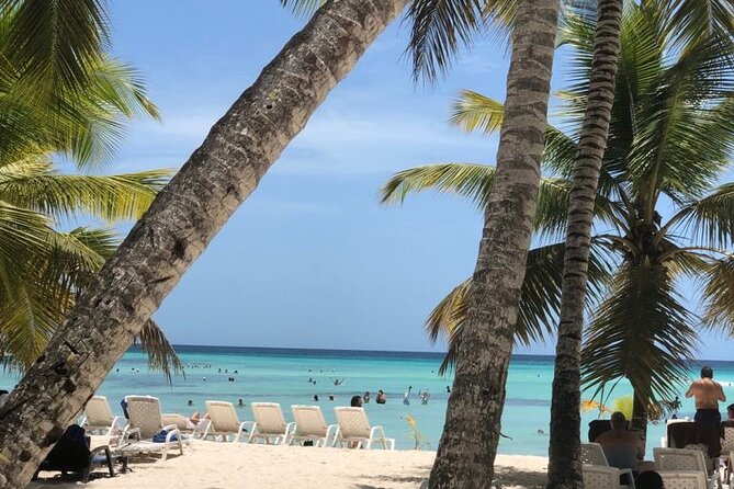 Excelence El Carmen - Round Trip Shuttle - Punta Cana Airport - The One Drawback to Plan For