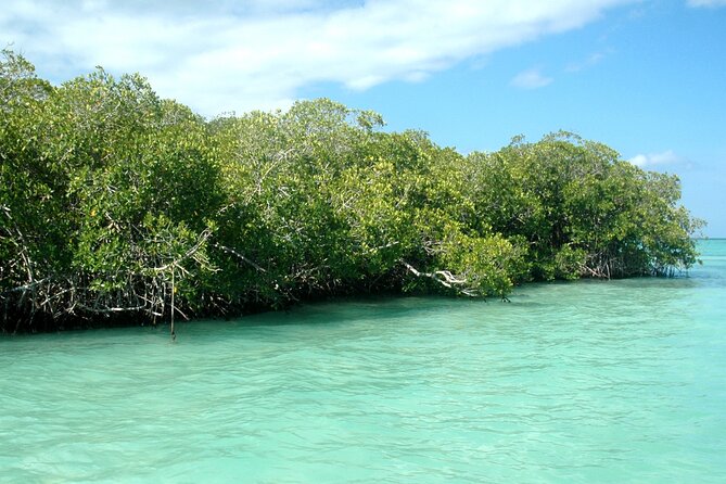 Exclusive Adventure in Saona: Small Group - Getting to Bayahibe and Meeting Your Crew at 8:30 am