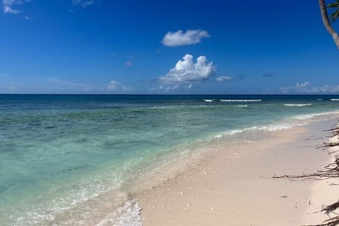 Exclusive Adventure in Saona: Small Group - Saona Beach Lunch and White Sand Relaxation