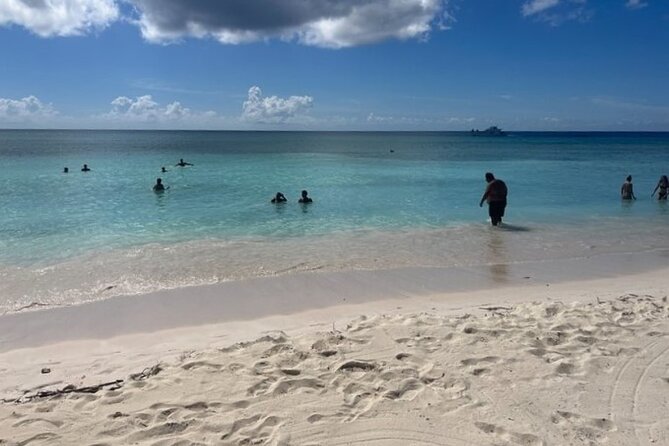Exclusive Adventure in Saona: Small Group - Price Check: Is $100 Good Value for a Full Day?
