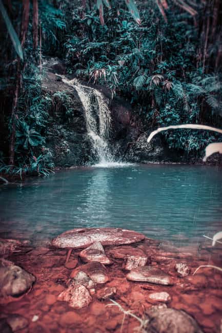 Exclusive Puerto Plata Waterfalls for groups up to 6 People - Lunch buffet: how to make it work if the day runs wet and slow