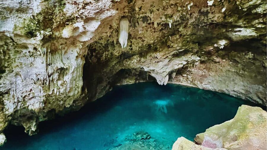 Exclusive VIP Excursion: Santo Domingo from Punta Cana – Private Service - When the tour feels truly private, and when it can wobble
