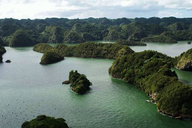 Excursion Los Haitises + Cayo Levantado (Bacardí Island) from Santo Domingo - Key Highlights You Should Know Before You Go