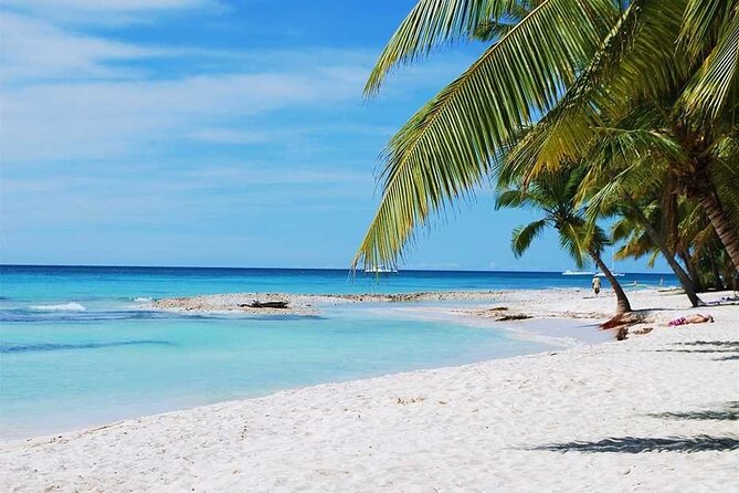 Excursion to Catalina Island and Snorkeling from Punta Cana - Timing and transportation: the part that can make or break the day