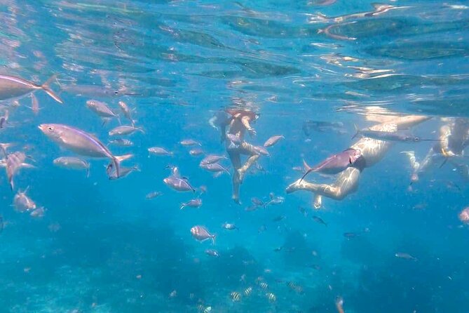 Excursion to Catalina Island and Snorkeling from Punta Cana - Who this tour suits best, and who should reconsider