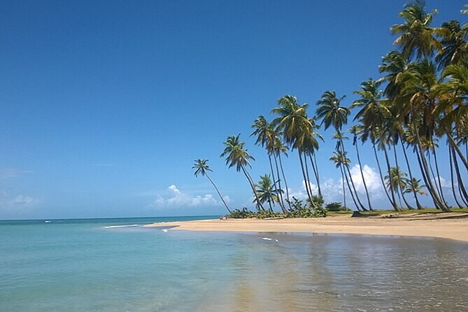 Excursion to Montaña Redonda and Playa Esmeralda from Punta Cana - Playa Esmeralda in Miches: A Beach Stop That Feels Off the Usual Track