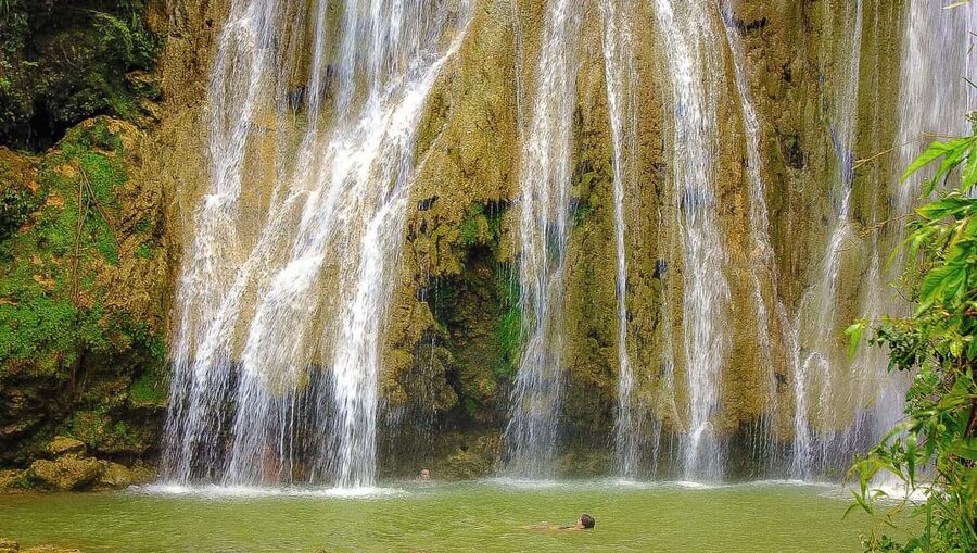 Excursion to Samaná, El Limón Waterfall and Bacardi Island from Punta Cana - Horseback through coffee and cocoa on the way to El Limón