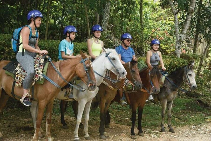 Excursion to Samaná, El Limón Waterfall and Bacardi Island from Punta Cana - El Limón Waterfall: what the lunch stop really gives you
