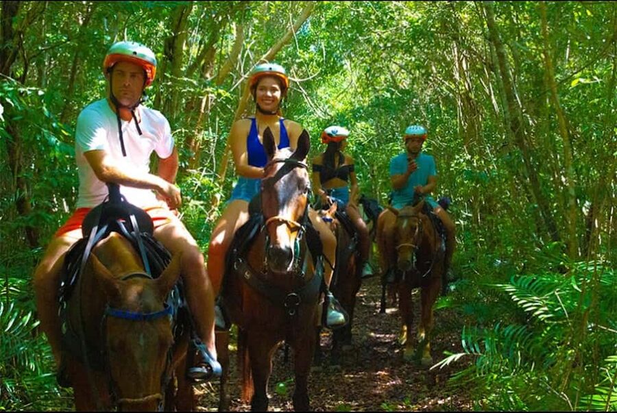 Exhilarating Buggy Tours: Discover Punta Cana Scenic Wonders - Indigenous Springs cenote time: half an hour underground pool vibes