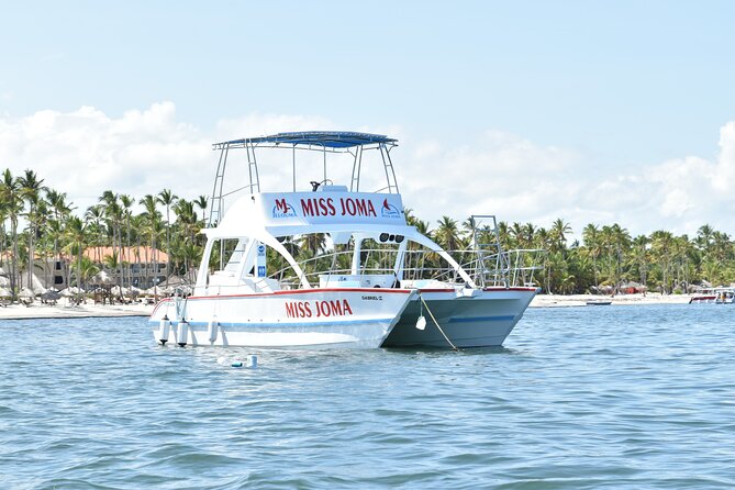 Experience for families and friends by private boat with pick-up - What’s included on board: drinks, snacks, snorkel gear, and Wi-Fi
