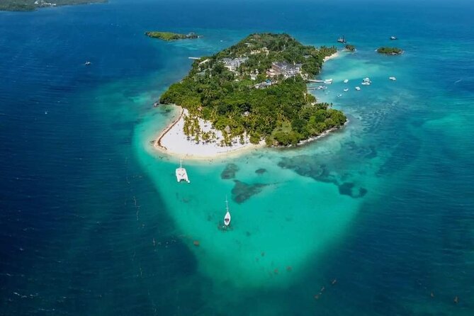 Experience Full Day Tour of Tropical Bliss at Isla Saona - Snorkeling stop: what to expect and how to prepare