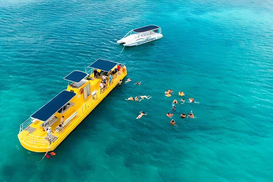 Experience the Exciting Caribbean Underwater World - The Underwater Windows: Coral, Fish, Turtles, Rays, and the Chance of More