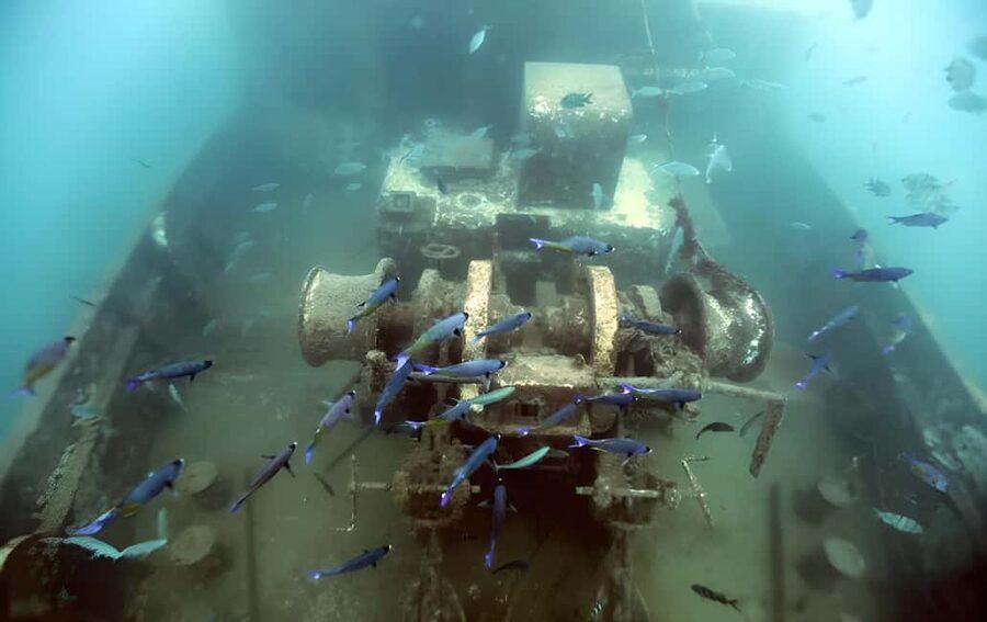 Experience the Exciting Caribbean Underwater World - Atlantic Princess Wreck Viewing: What Makes It Worth the Boat Time