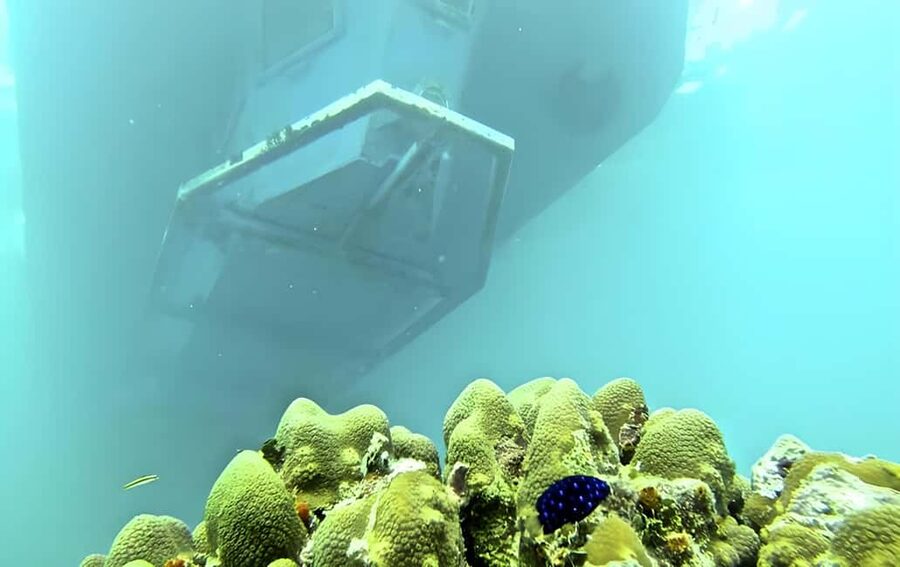 Experience the Exciting Caribbean Underwater World - Who This Trip Is Best For, and Who Might Want to Skip