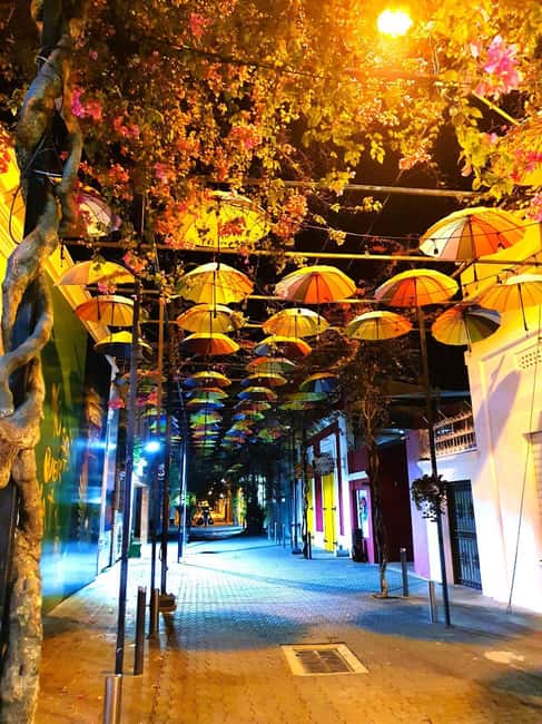 Experience the Nightlife: Puerto Plata + Sosua + Cabarete - Key things you will remember