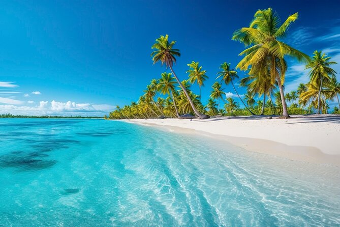 Explore Catalina Island & Snorkeling Adventure from Punta Cana - How the Day Unfolds: From Punta Cana Pickup to Catalina Beach