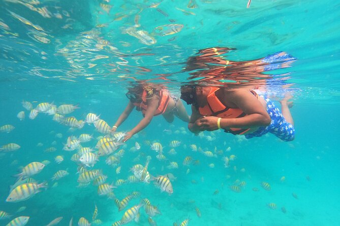 Explore Catalina Island & Snorkeling Adventure from Punta Cana - Boat Transfers and On-Board Entertainment: Expect Variability