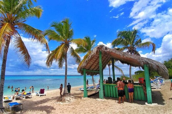 Explore Catalina Island & Snorkeling Adventure from Punta Cana - Price and Logistics: Why $80 Might Make Sense
