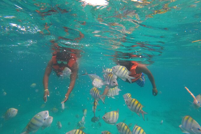 Explore Catalina Island & Snorkeling Adventure from Punta Cana - Who Should Book This Catalina Island and Snorkeling Adventure?