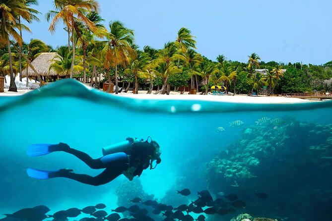 Explore Catalina Island & Snorkeling Adventure from Punta Cana - Quick FAQ for Booking Confidence