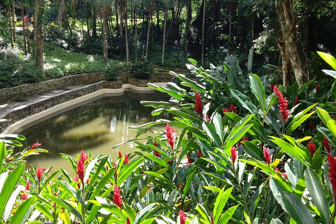 Explore Puerto Plata's Best & Cable Car - Shore Excursion - Mount Isabel de Torres: Christ the Redeemer, Botanical Gardens, and the Big North Coast Views