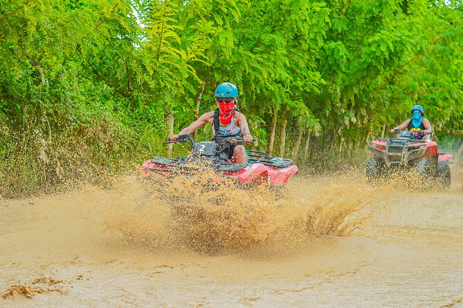 Explore Punta Cana in Buggy - Dominican house tasting: coffee, cacao, and mamajuana culture