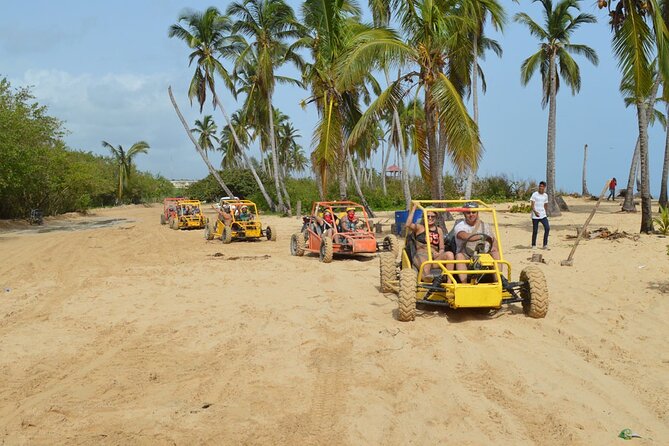 Extreme Boogie Tour in Punta Cana, Macao Beach and Cenote - Muddy buggy excursion through Punta Cana: the fun is real, check the safety first