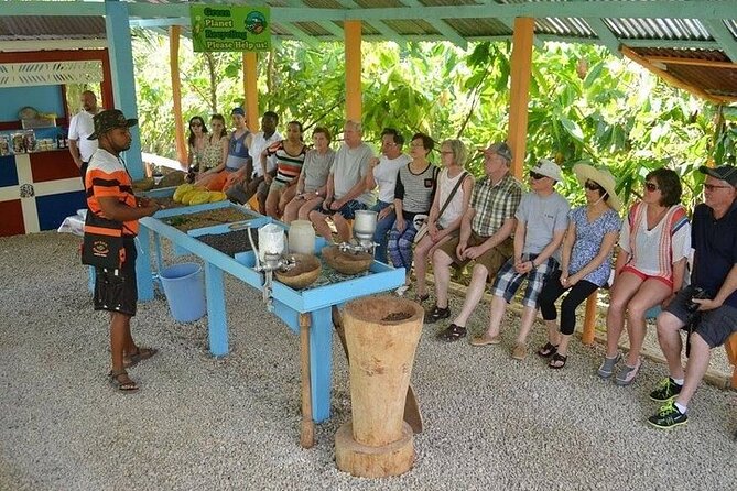 Extreme Buggy Adventure from Punta Cana - Stop 1 in Macao: the Dominican house, coffee and cocoa know-how