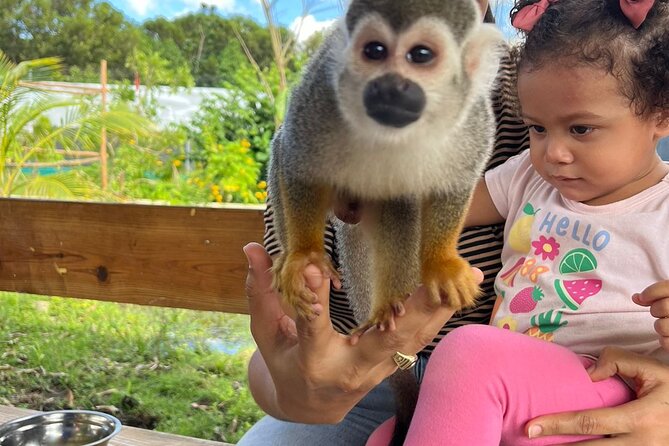 Family ATV Tour & Monkey Private Van - Price and value: is $160 per person fair?