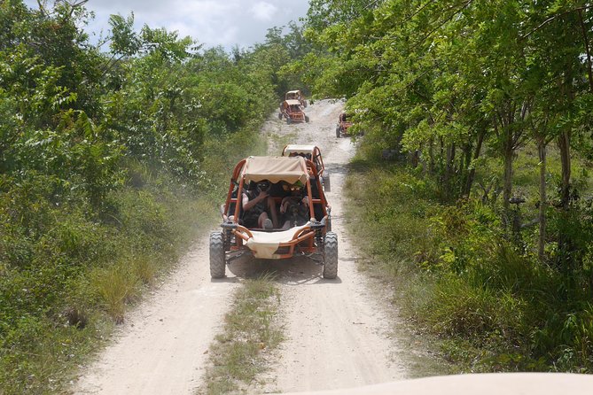 Family Buggy Adventure in Punta Cana - The 5-Seat Family Buggy Setup and What That Means for Your Day