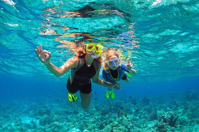 Family Snorkeling Adventure Punta Cana - Key Points Before You Go