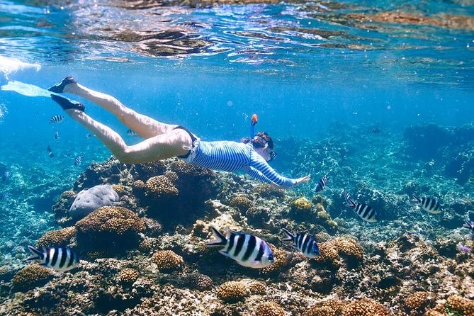 Family Snorkeling Adventure Punta Cana - Food, Champagne-Style Sips, and Snacks: The Included Party Factor