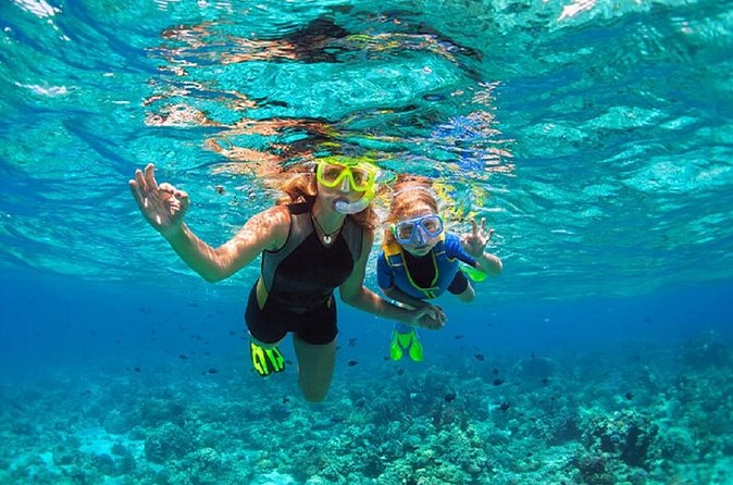 Family Snorkeling Adventure Punta Cana - Should You Book This Punta Cana Family Snorkeling Adventure?