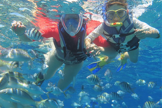 Family Snorkeling Adventure Punta Cana - Reef Time at Bavaro Beach: Coral, Fish Watching, and Seaweed Reality