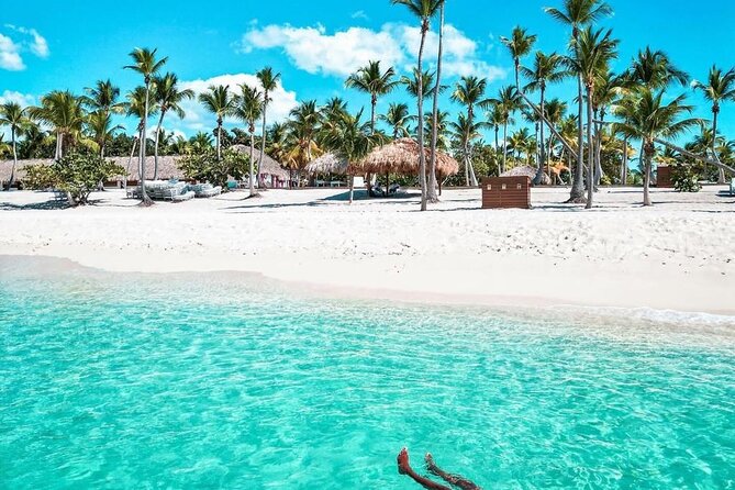 Fantastic Catalina island, beach and depth - Key Things You Should Know Before You Go