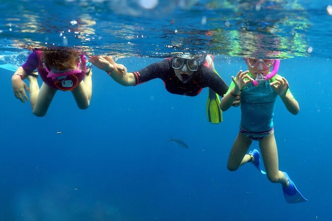 Fantastic Catalina island, beach and depth - Transportation Fees: Know What You Pay Based on Where You Stay