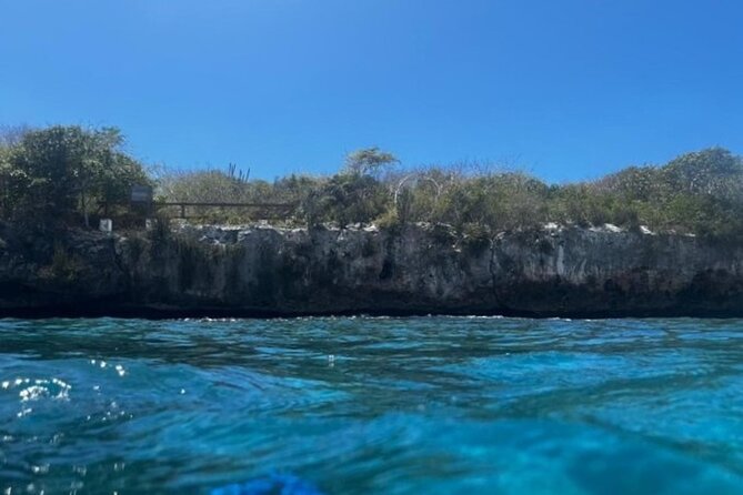 Fantastic Catalina island, beach and depth - What Kind of Traveler This Suits Best