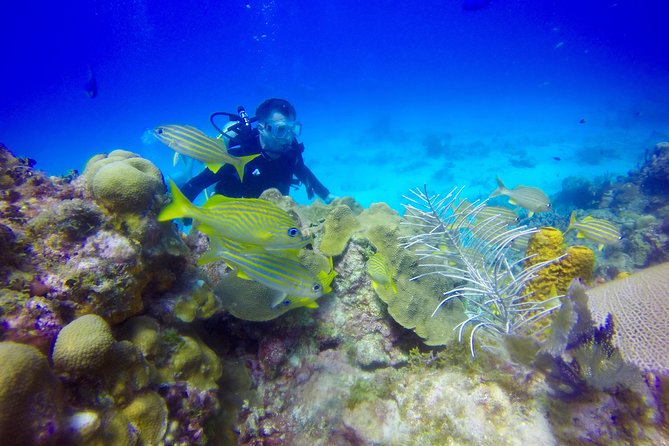 First Time Scuba Diving Experience in Punta Cana - Who should book this first-time Punta Cana scuba session