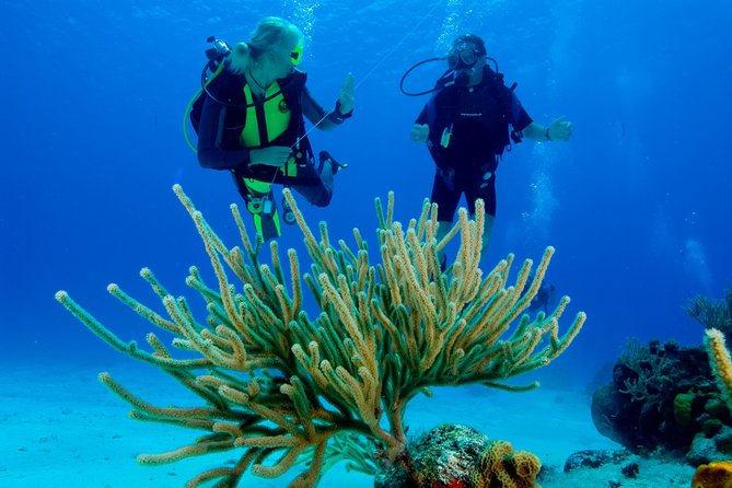 First Time Scuba Diving Experience in Punta Cana - Planning smart: timing, weather, and your body’s limits