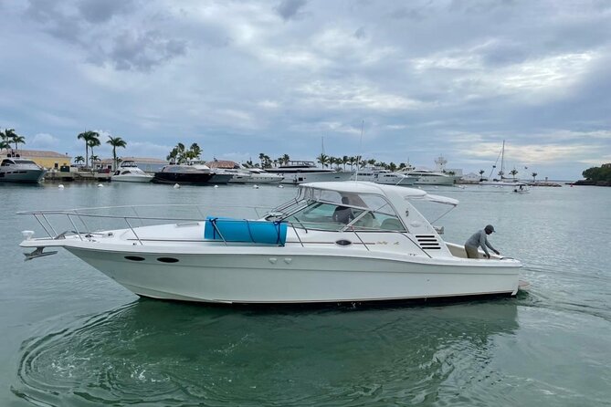 Fishing And Eating Straight From The Sea ( SAONA ISLAND AND PALMILLA) - Timing, weather, and how to plan like a pro