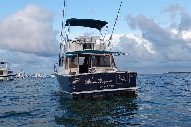 FISHING PRO CHARTERS - Boat Excursion - Divina - Trolling style and the rough-sea reality