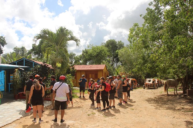 Flintstones Buggy Adventure from Punta Cana - The Colmado Stop: Coffee and Cacao the Local Way
