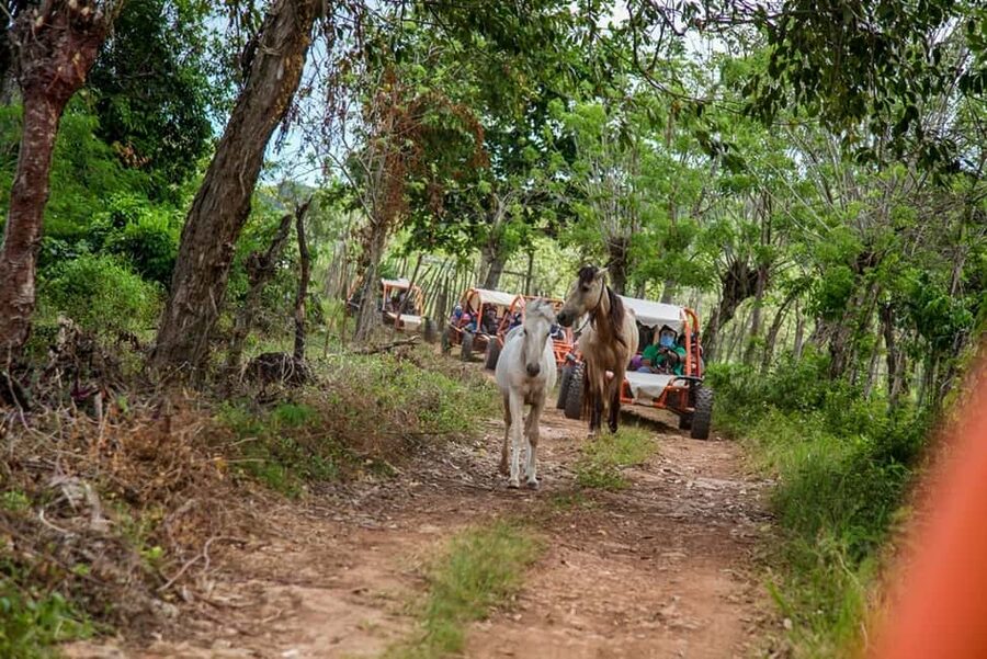 Flintstones Buggy, Cave and Adventure in Bavaro - Getting dusty, getting wet, and handling the photo upsell vibe