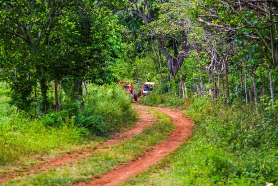 Flintstones Buggy, Cave and Adventure in Bavaro - Price and value: is $60 worth it?