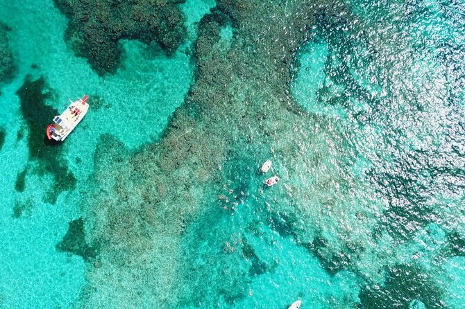 Float & Feast Private Party Cruise with Premium Buffet & Open Bar - Transfers From Punta Cana Hotels: The Part You Actually Feel