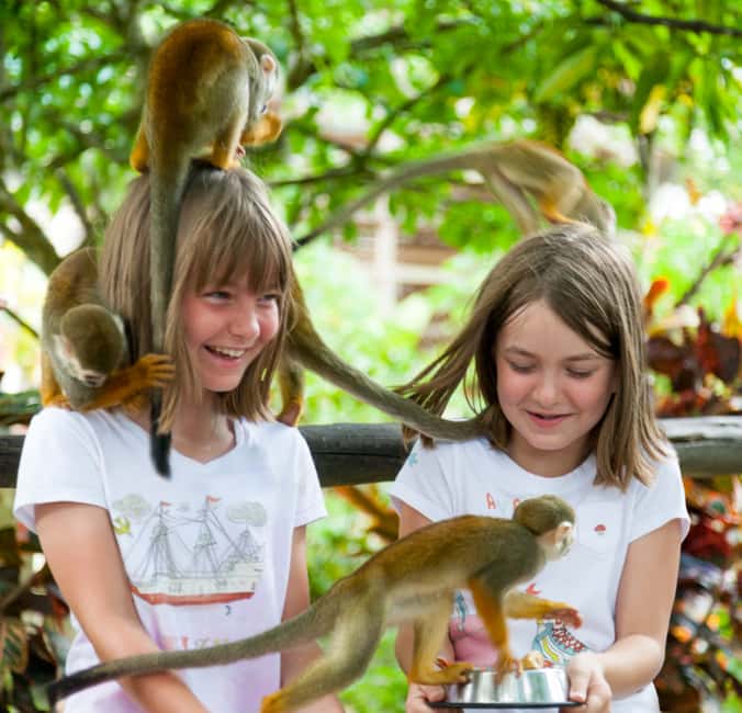 From Bayahibe: Half Day Monkeyland Safari - Key points before you go