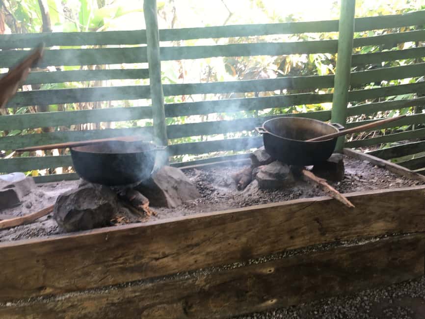 From Bayahibe: Half Day Monkeyland Safari - Price and value at $95 per person