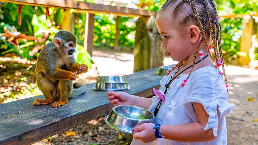From Bayahibe: Half Day Monkeyland Safari - Bayahibe pickup, transport style, and the real timeline